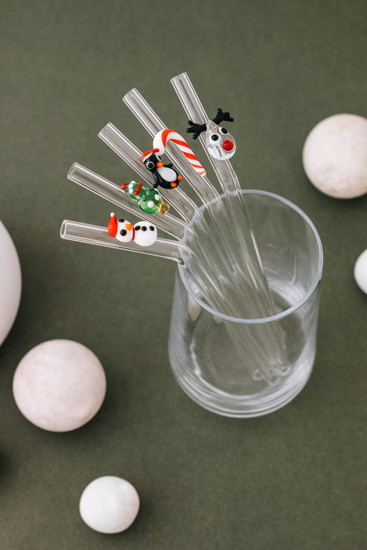 Christmas Theme Reusable Drinking Straw