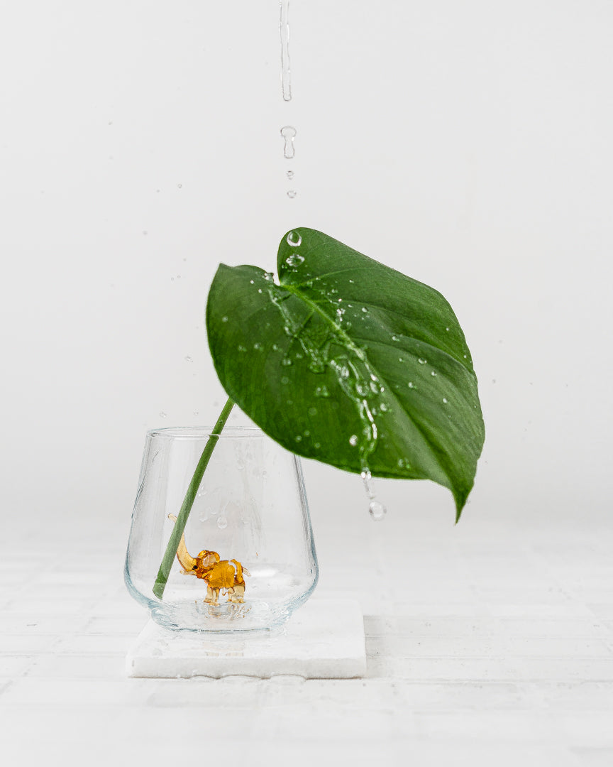Tiny Animal Drinking Glass, Elephant