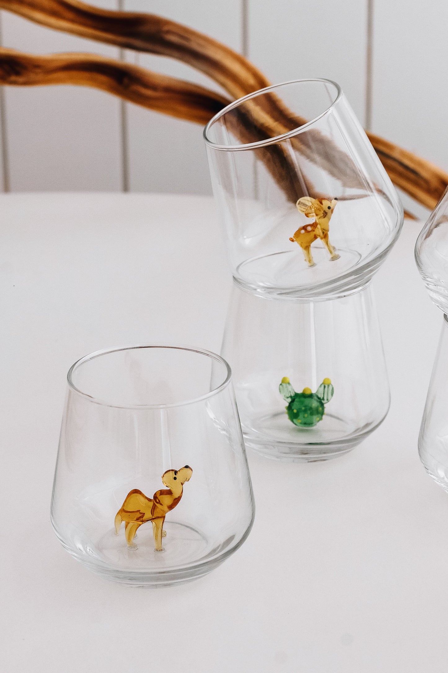 Desert Theme Drinking Glass Set of 6