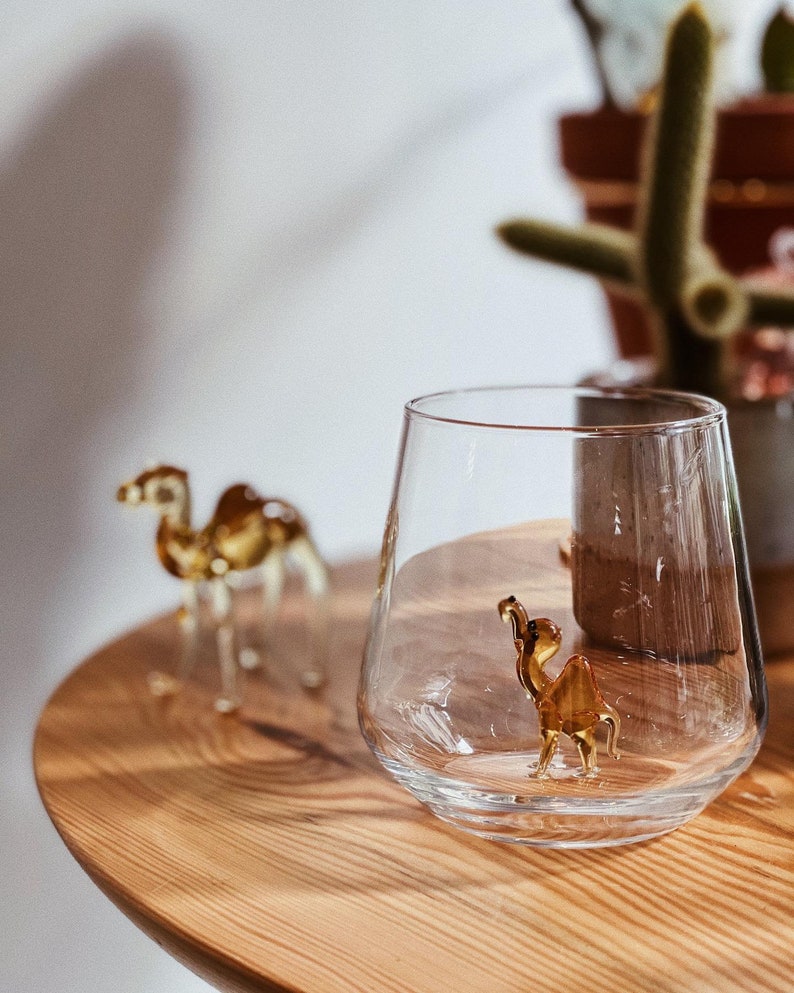 Desert Theme Drinking Glass Set of 6