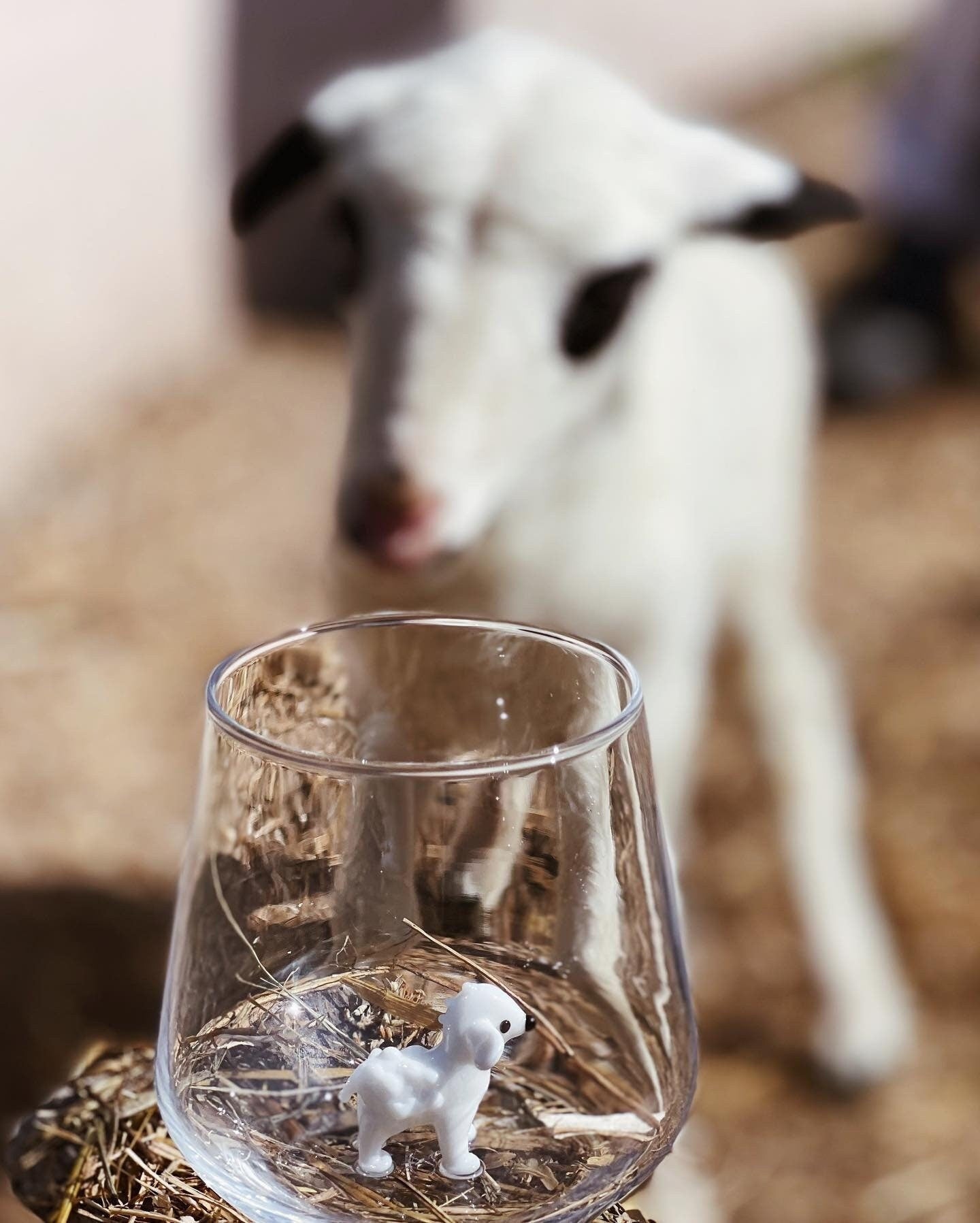 Tiny Animal Drinking Glass, Sheep