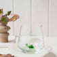 Tiny Animal Drinking Glass, Turtle