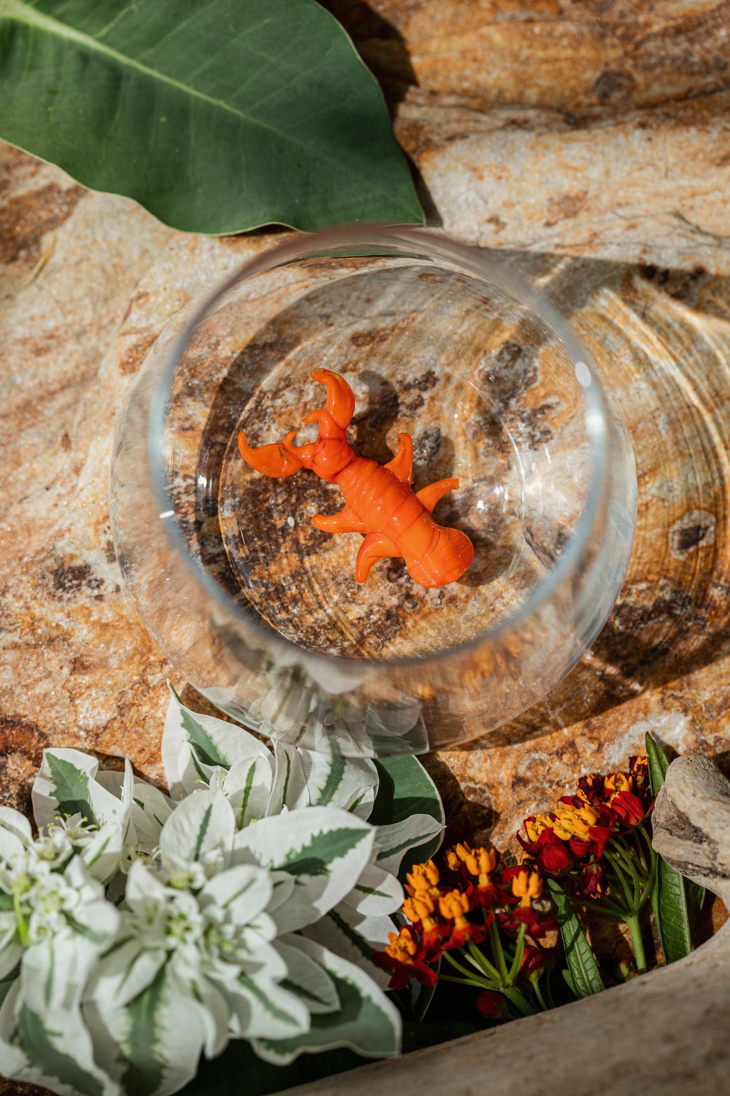 Tiny Animal Drinking Glass, Lobster